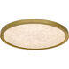 Outskirts LED 20 inch Brushed Gold Flush Mount Ceiling Light, Large