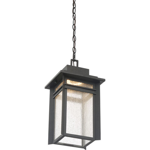 Beacon 9 inch Stone Black Outdoor Hanging Lantern