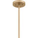 Harte 5 Light 24 inch Bronze Gold Pendant Ceiling Light, Large