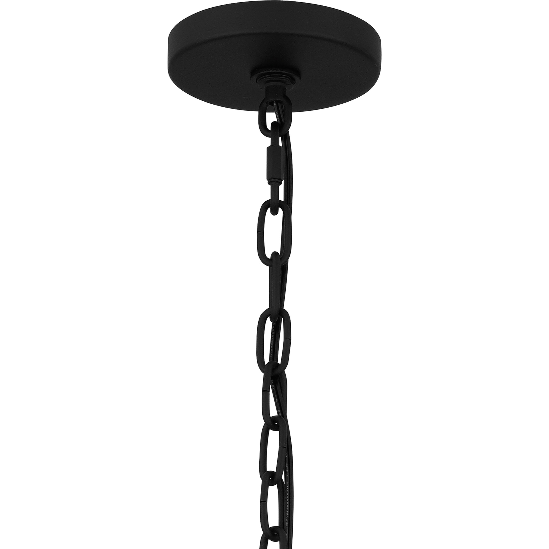 Damien 4 Light 14 inch Earth Black Outdoor Pendant, Outdoor