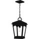 Huck 1 Light 10 inch Earth Black Outdoor Hanging Lantern, Large