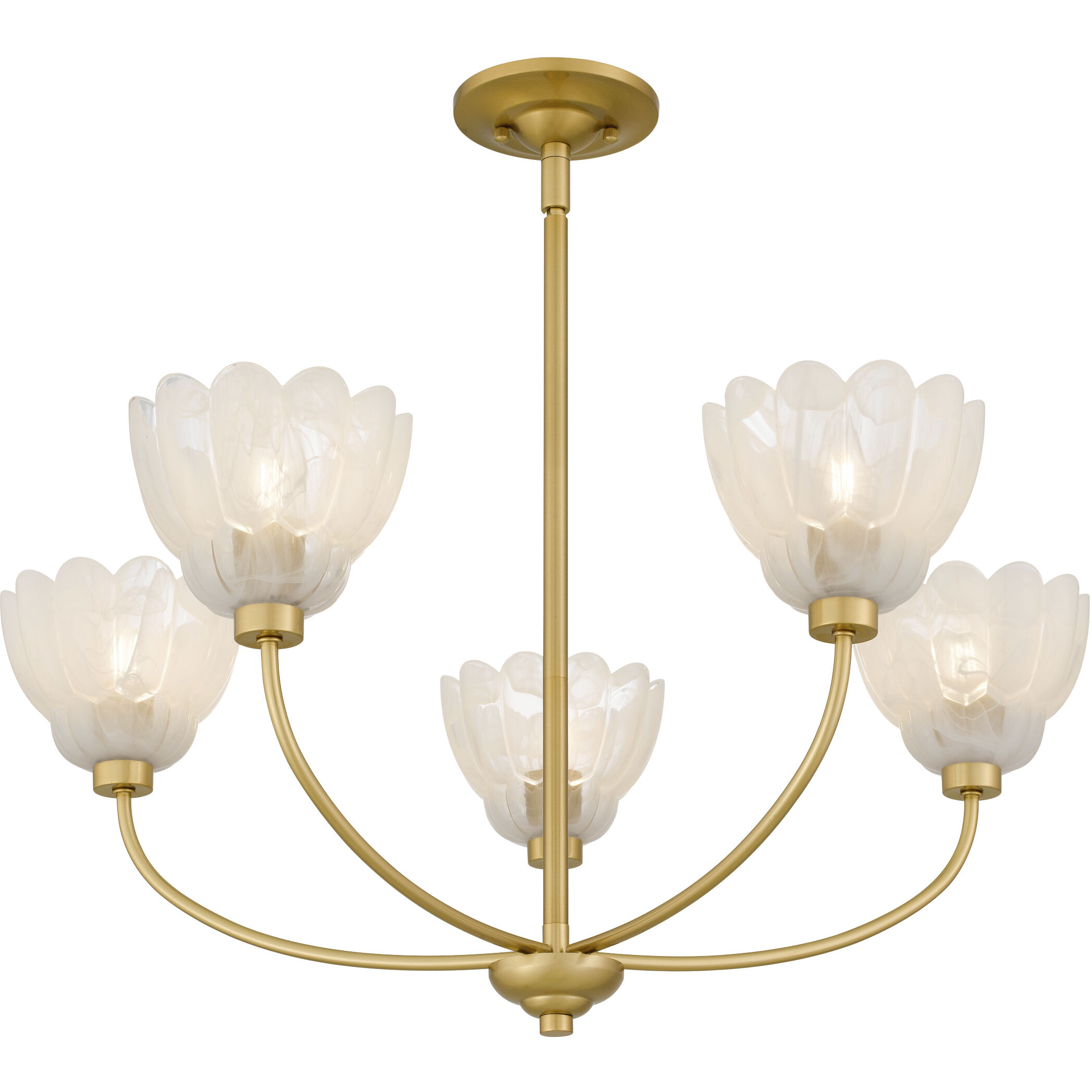 Whitecap 5 Light 28 inch Brushed Gold Chandelier Ceiling Light