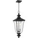 Farley 3 Light 9.75 inch Matte Black Outdoor Hanging Lantern