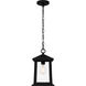 Satterfield 1 Light 9 inch Matte Black Outdoor Hanging Lantern
