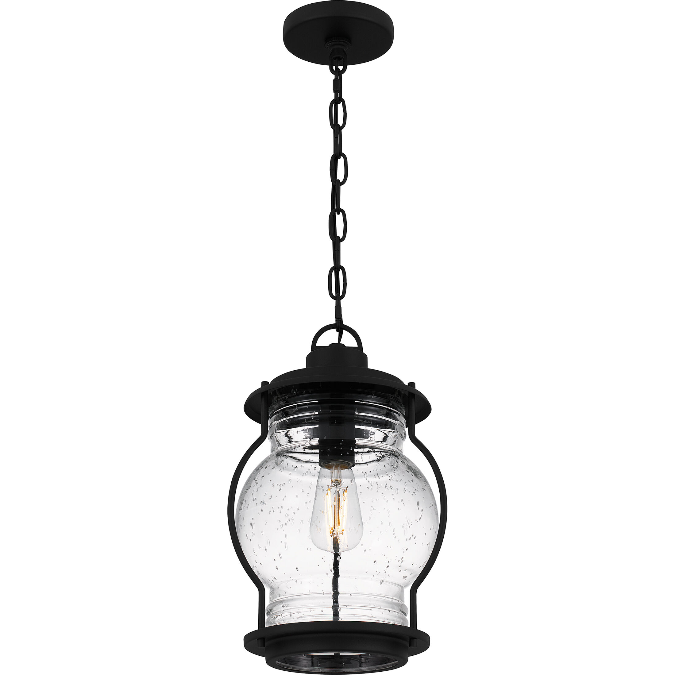 Luther 1 Light 9 inch Earth Black Outdoor Hanging Lantern, Large