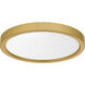 Outskirts LED 11 inch Brushed Gold Flush Mount Ceiling Light, Small