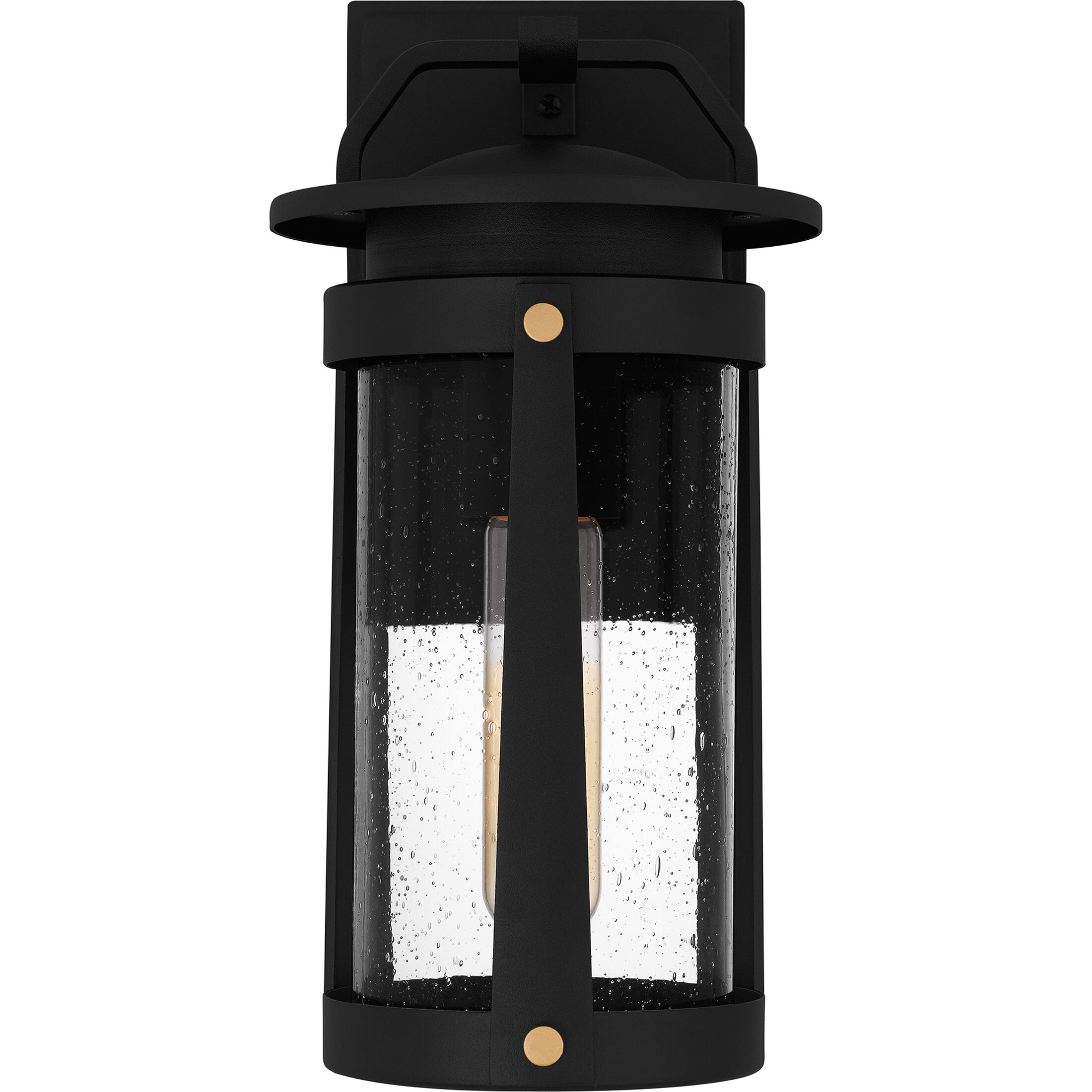 Quoizel CLI8406EK Clifton 1 Light 12 inch Earth Black