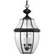 Newbury 3 Light 12.5 inch Mystic Black Outdoor Hanging Lantern