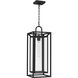 Jayce 1 Light 9 inch Matte Black Outdoor Hanging Lantern
