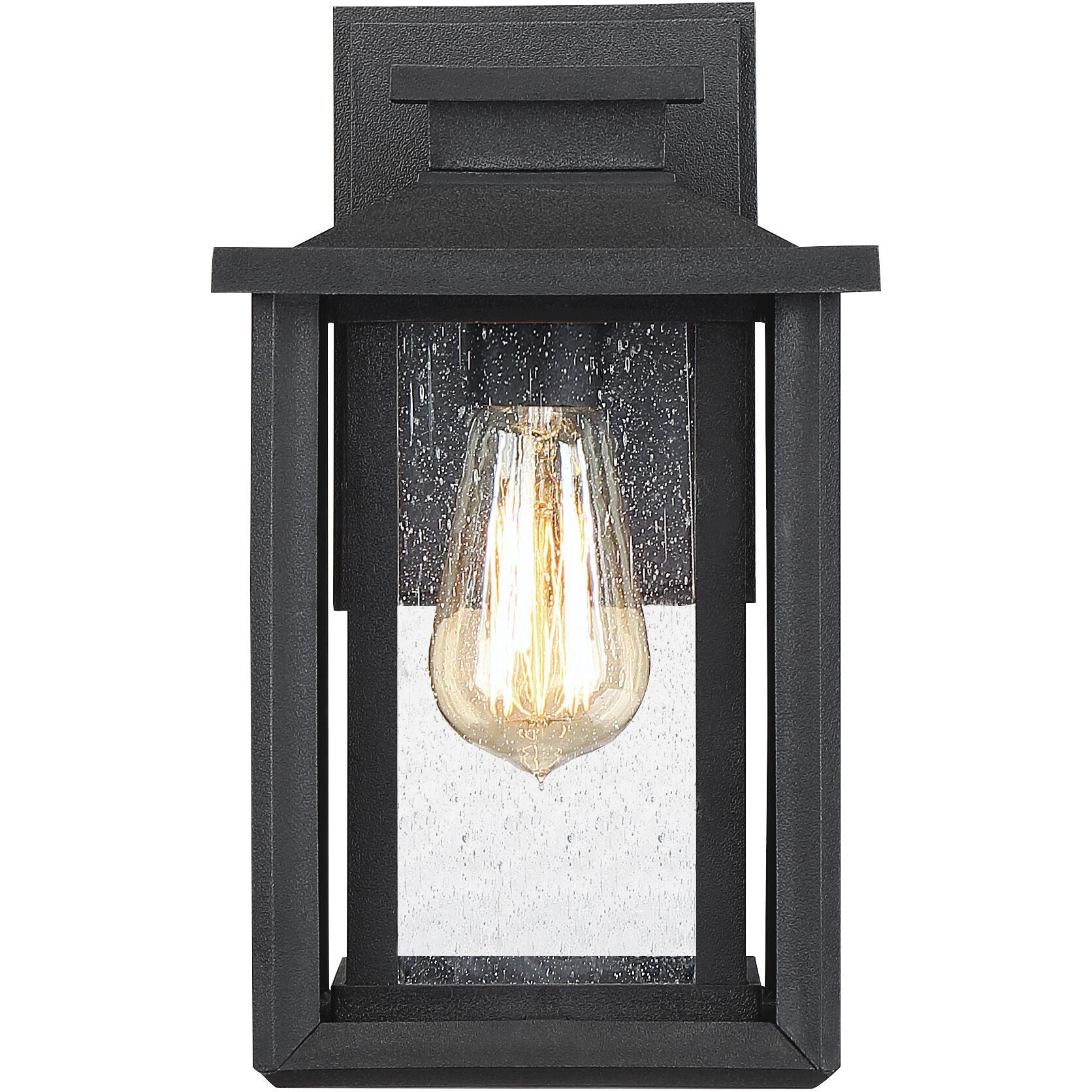 Wakefield 1 Light 11 inch Earth Black Outdoor Wall Lantern