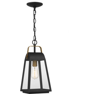 O'Leary 1 Light 8 inch Earth Black Outdoor Hanging Lantern, Large