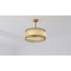 Kate 24 inch Brushed Gold Fandelier