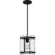 Fortress 1 Light 9 inch Earth Black Mini Pendant Ceiling Light