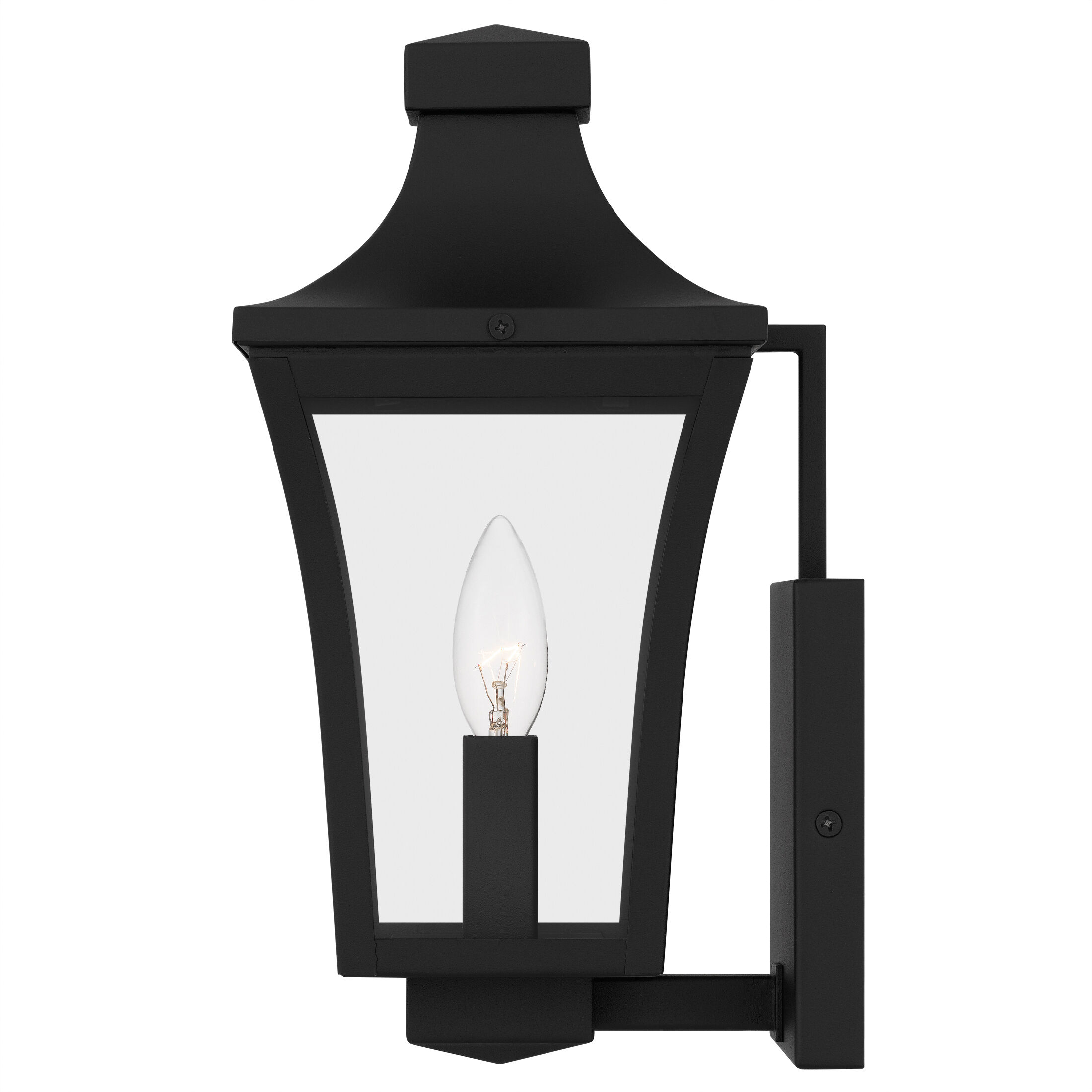 Quentin 1 Light 12 inch Earth Black Outdoor Wall Lantern, Small