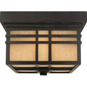 Outdoor Ceiling Lights