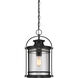 Booker 1 Light 11 inch Mystic Black Mini Pendant Ceiling Light, Small