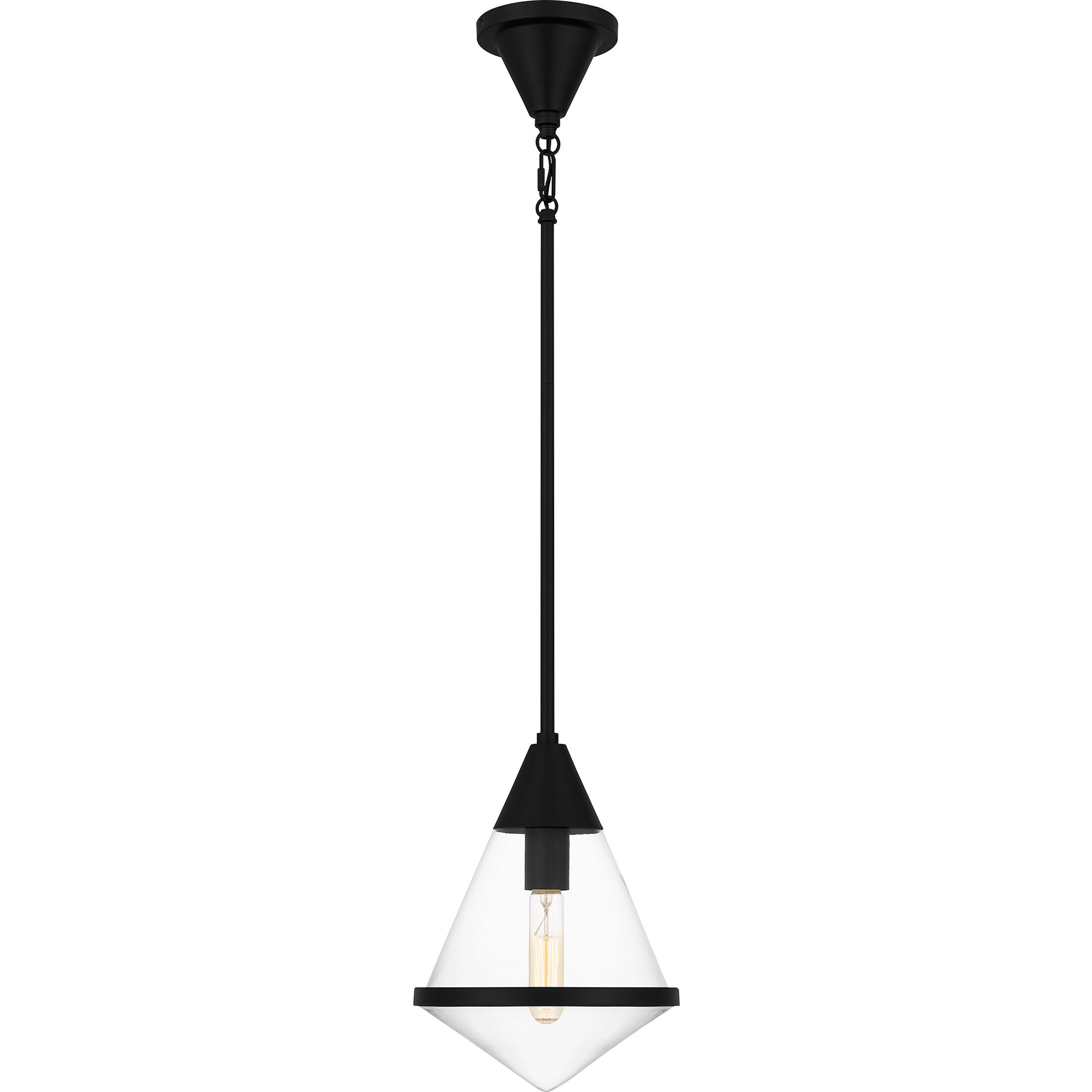 Hidalgo 1 Light 9.5 inch Matte Black Mini Pendant Ceiling Light
