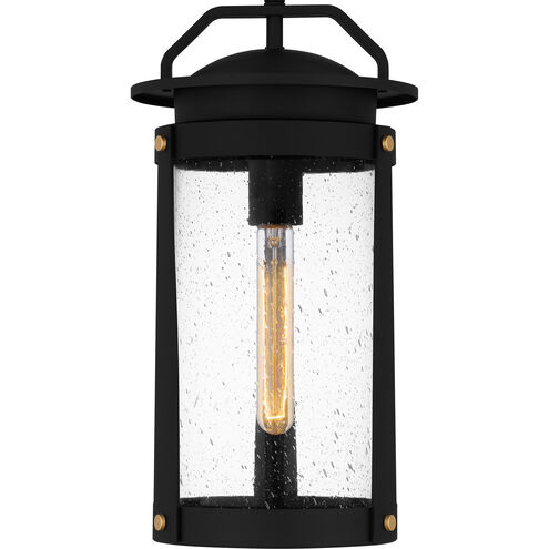 Clifton 1 Light 9 inch Earth Black Outdoor Hanging Lantern