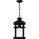 Scout 1 Light 10 inch Matte Black Outdoor Hanging Lantern, Large