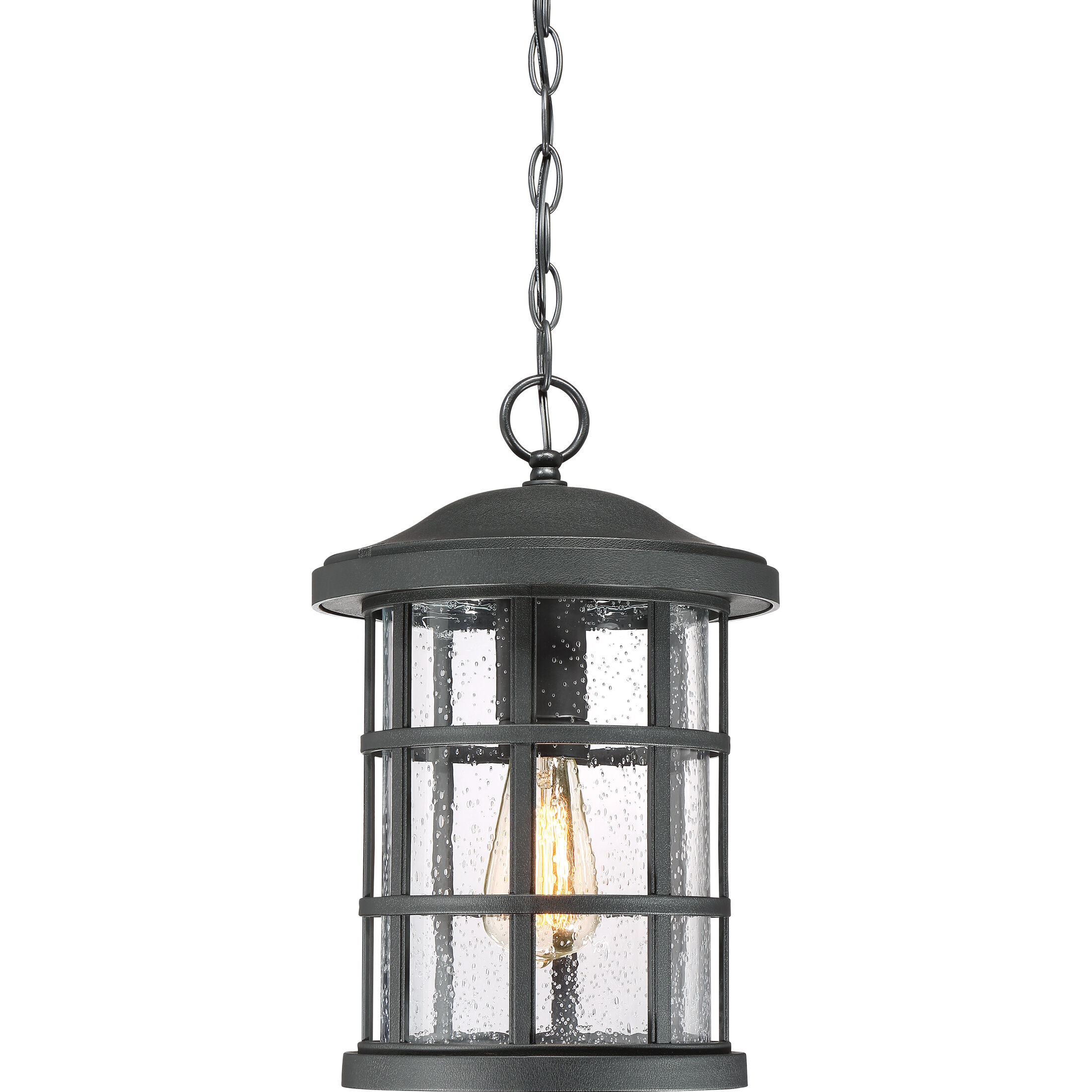 Crusade 1 Light 10 inch Earth Black Outdoor Hanging Lantern