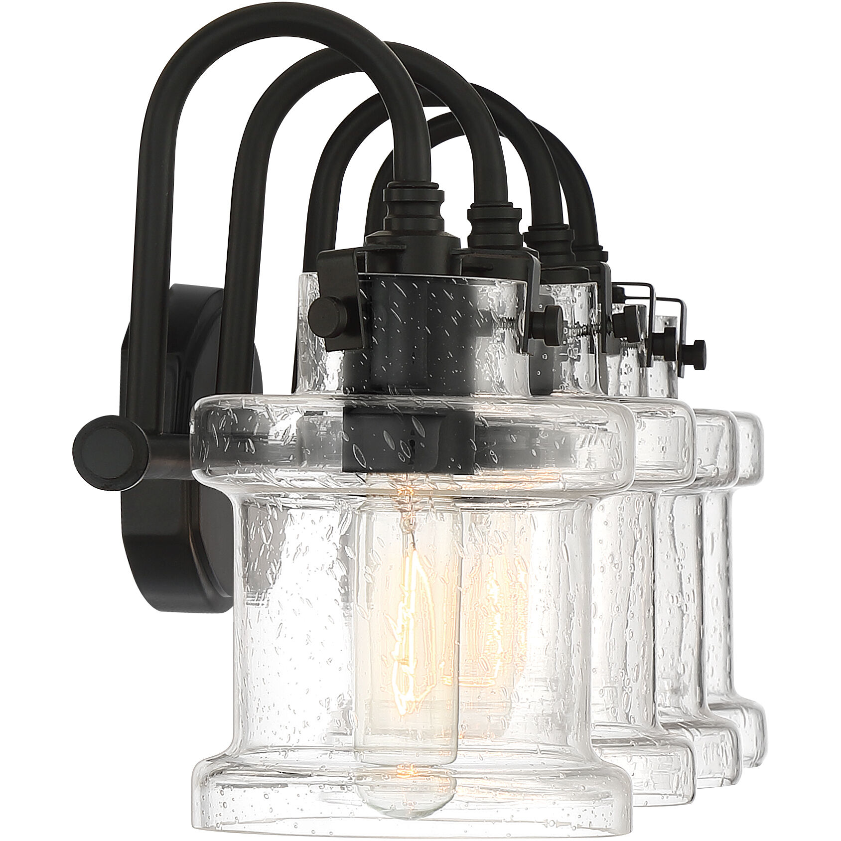 Danbury 4 Light 32 inch Earth Black Bath Light Wall Light