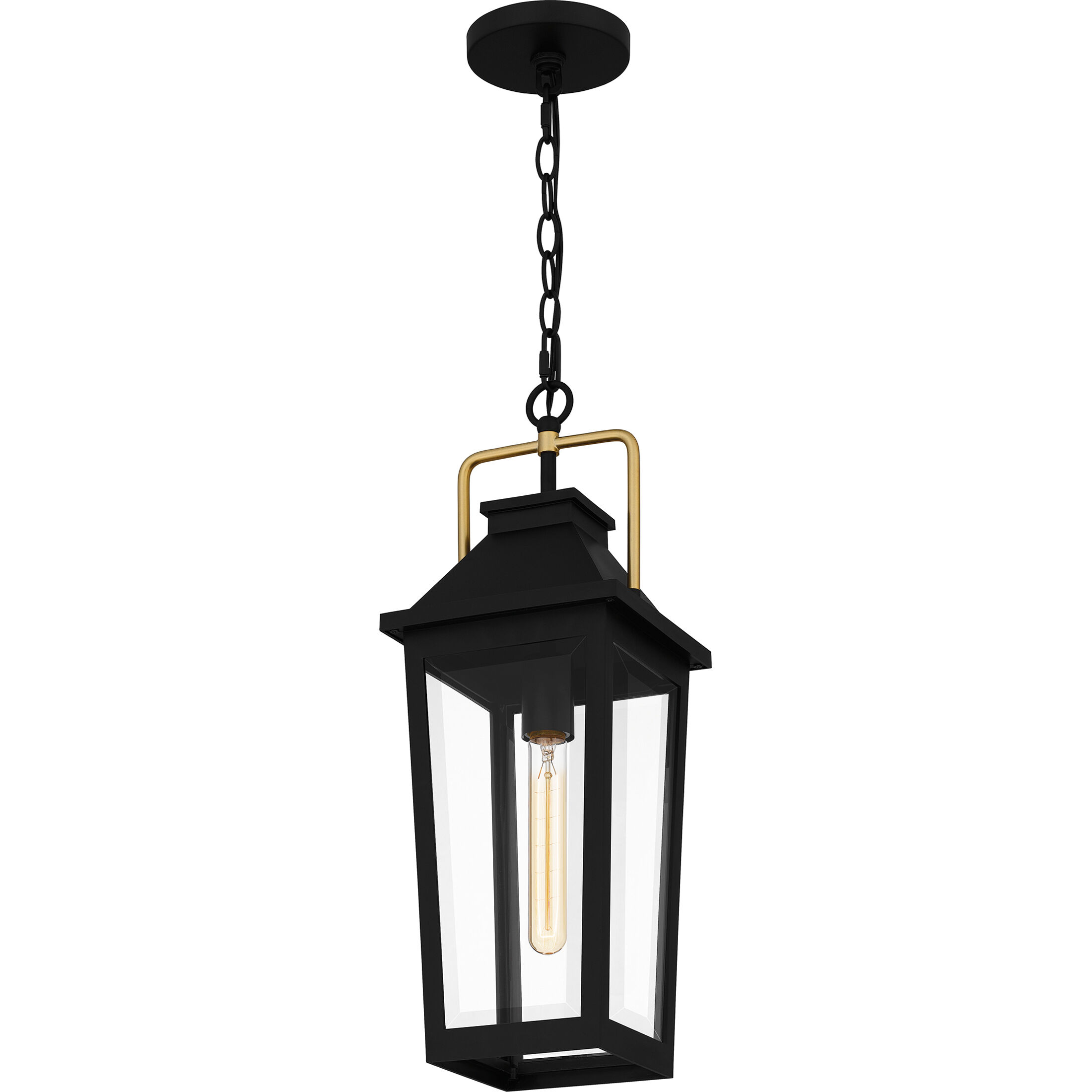 Buckley 1 Light 8 inch Matte Black Outdoor Hanging Lantern