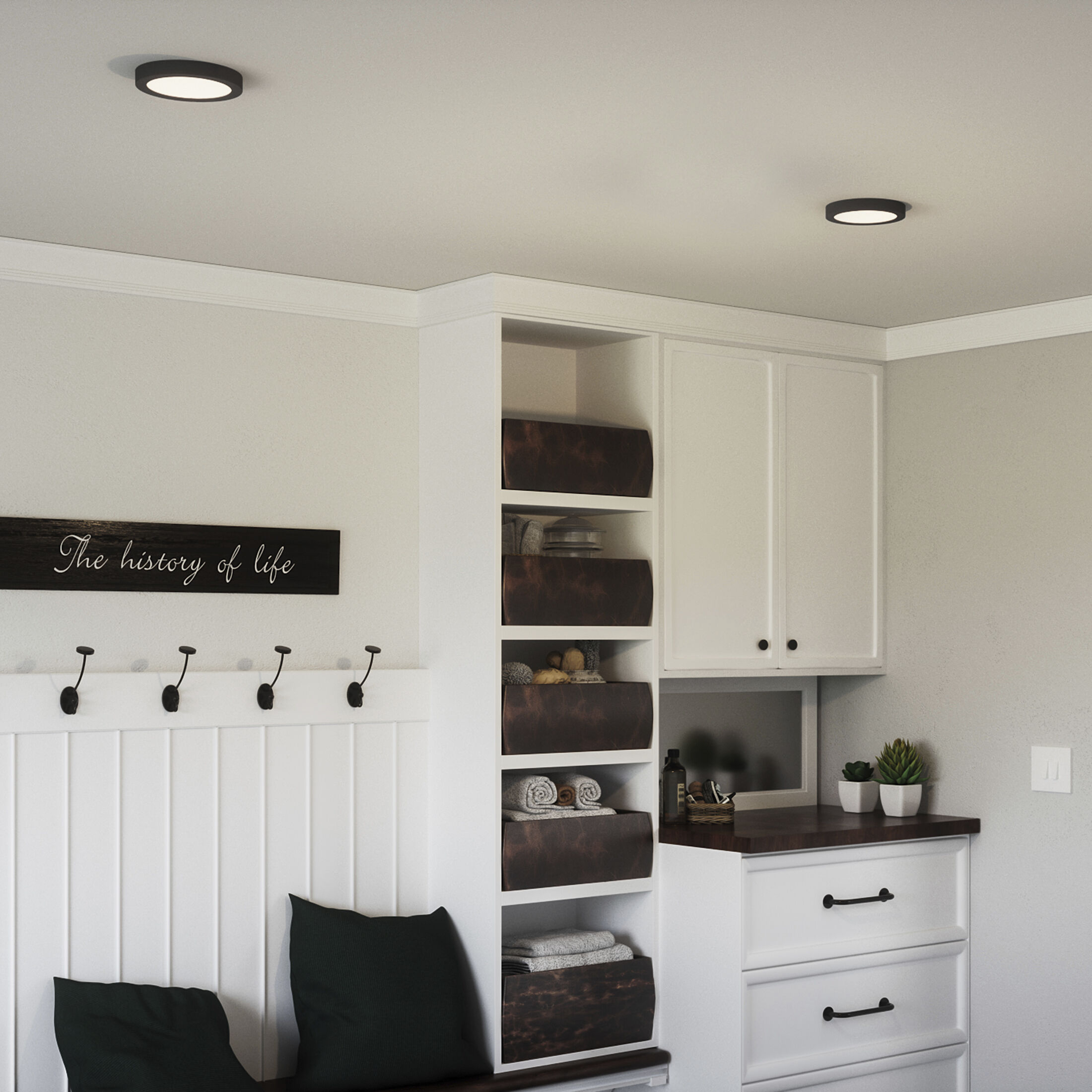 Outskirts 8 inch Earth Black Flush Mount Ceiling Light