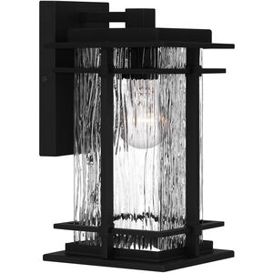 McAlister 1 Light 12 inch Earth Black Outdoor Wall Lantern