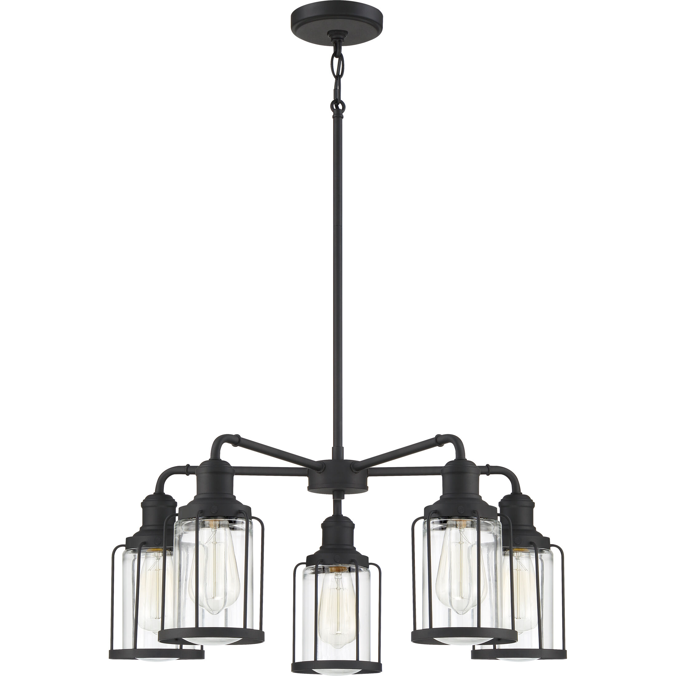 Ludlow 5 Light 25 inch Earth Black Chandelier Ceiling Light