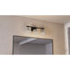 Brenthouse 3 Light 22.5 inch Matte Black Bath Light Wall Light, Large