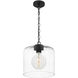 Abner 1 Light 12 inch Matte Black Mini Pendant Ceiling Light