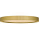 Outskirts LED 11 inch Brushed Gold Flush Mount Ceiling Light, Small