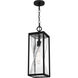 Zarah 1 Light 7 inch Matte Black Mini Pendant Ceiling Light, Small