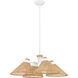 Alexa 4 Light 24 inch Matte White Pendant Ceiling Light, Large