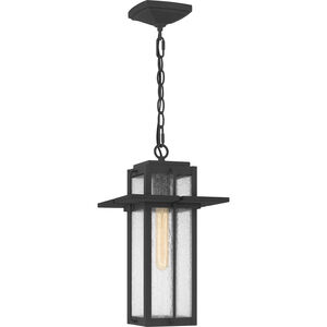 Randall 1 Light 9 inch Mottled Black Outdoor Hanging Lantern, Large