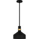 Arbor 1 Light 10 inch Matte Black Mini Pendant Ceiling Light, Small