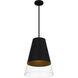 Peregrine 1 Light 14 inch Brushed Black Mini Pendant Ceiling Light