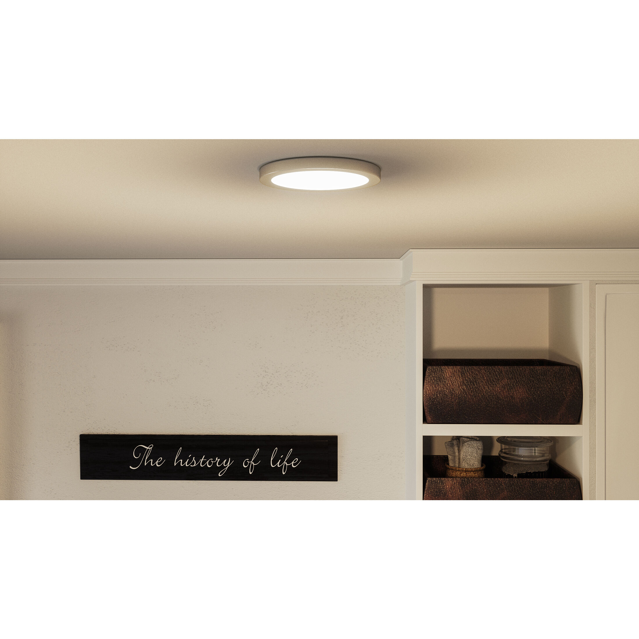 Outskirts LED 7.5 inch Brushed Nickel Flush Mount Ceiling Light