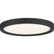 Outskirts 11 inch Earth Black Flush Mount Ceiling Light