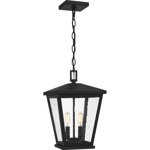 Joffrey 2 Light 11 inch Matte Black Outdoor Hanging Lantern, Large