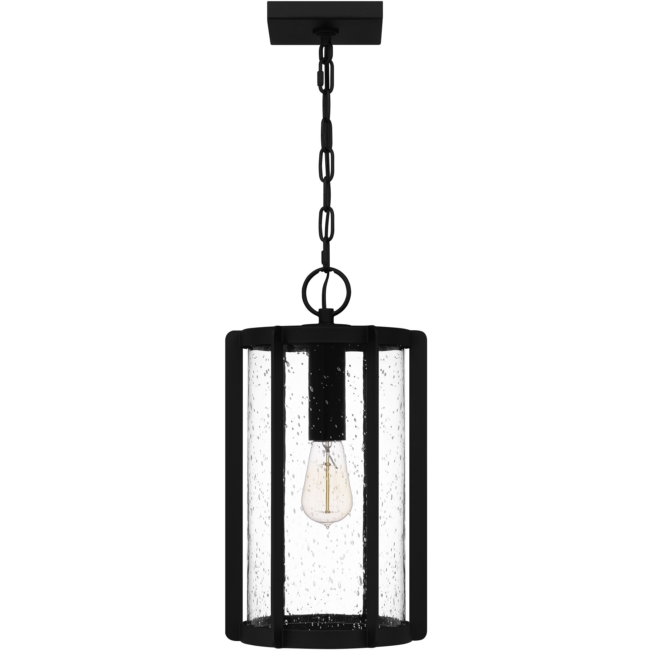Hazel 1 Light 9 inch Earth Black Outdoor Hanging Lantern