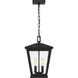 Joffrey 2 Light 10.5 inch Matte Black Outdoor Hanging Lantern, Large