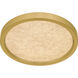 Outskirts LED 11 inch Brushed Gold Flush Mount Ceiling Light, Small