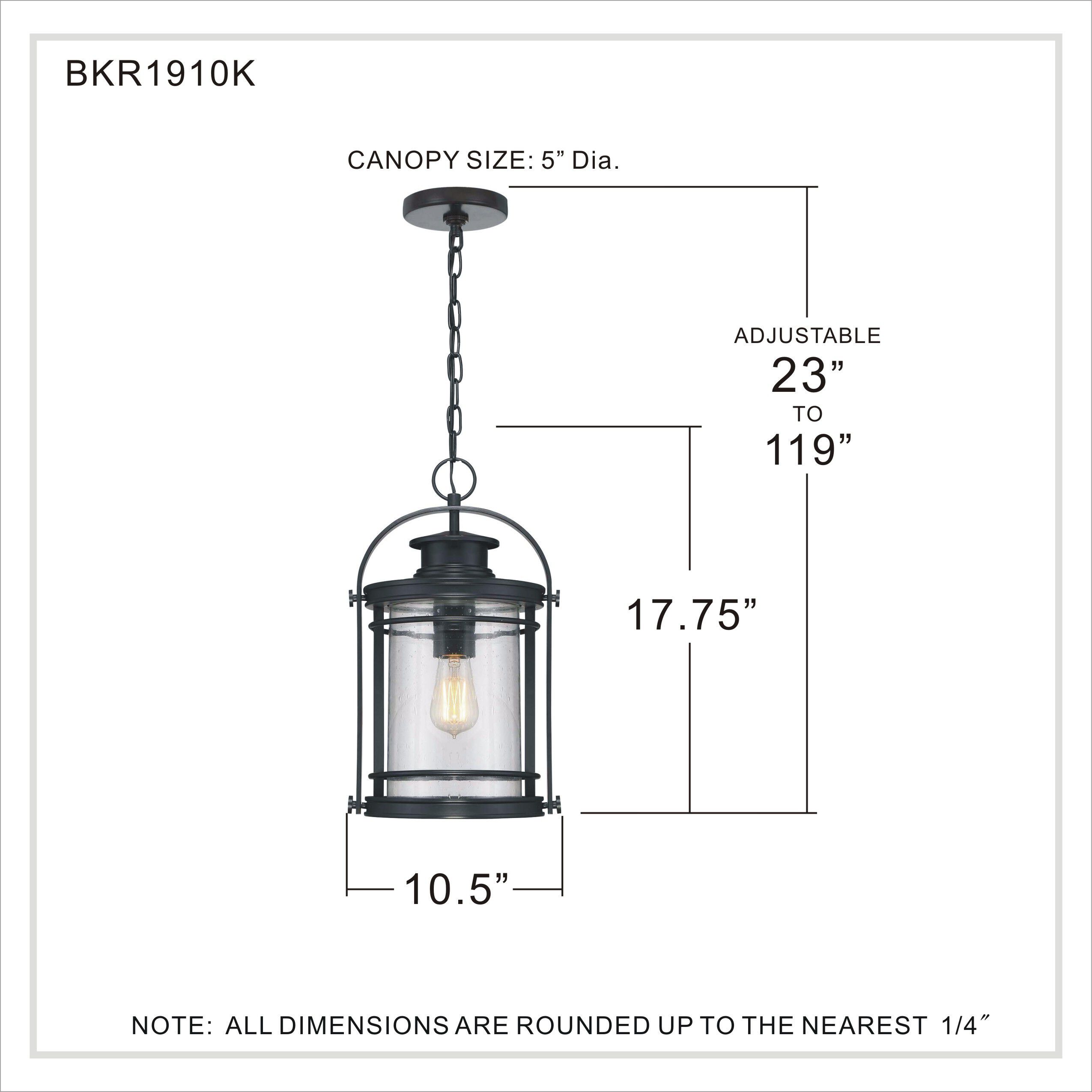 Booker 1 Light 11 inch Mystic Black Hanging Lantern Ceiling