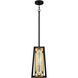 Sierra 1 Light 7 inch Matte Black Mini Pendant Ceiling Light, Small