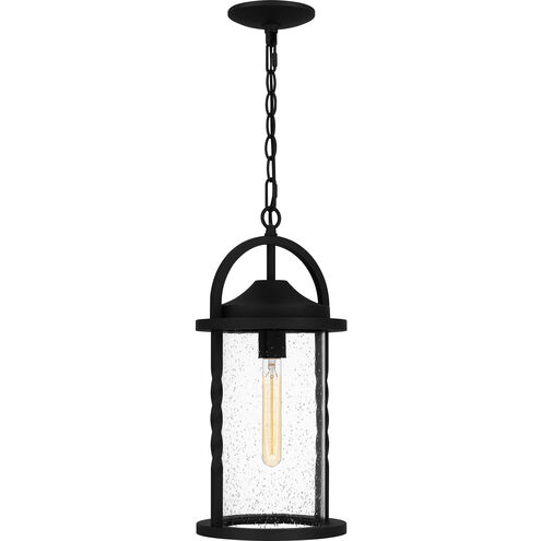 Reece 1 Light 9 inch Earth Black Outdoor Hanging Lantern