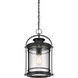 Booker 1 Light 11 inch Mystic Black Mini Pendant Ceiling Light, Small