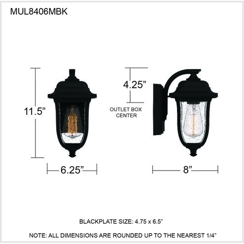 Mulberry 1 Light 12 inch Matte Black Outdoor Wall Lantern