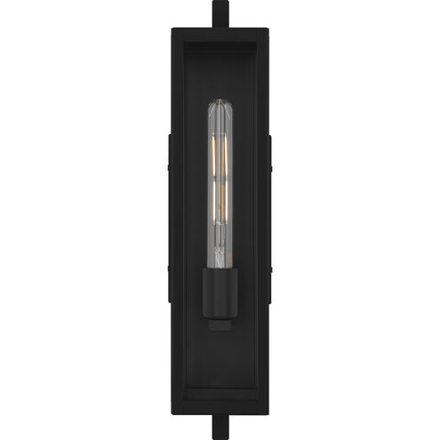 Dale 1 Light 20 inch Matte Black Outdoor Wall Lantern, Medium