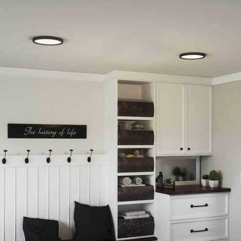 Outskirts 11 inch Earth Black Flush Mount Ceiling Light